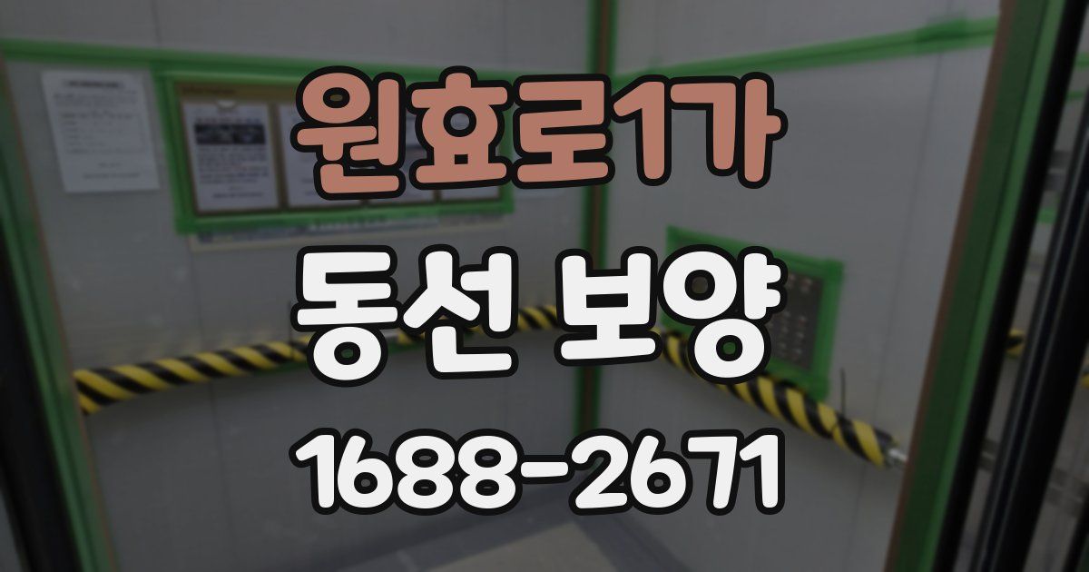 원효로1가 동선 보양
