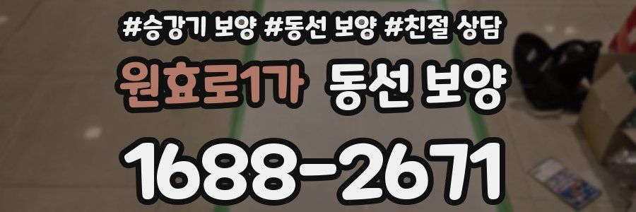 원효로1가 동선 보양