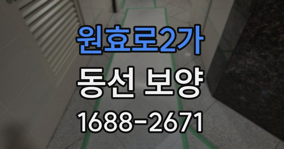 원효로2가 동선 보양