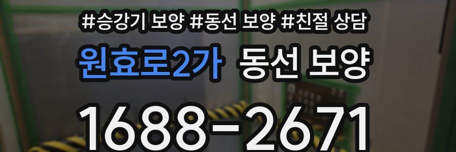원효로2가 동선 보양