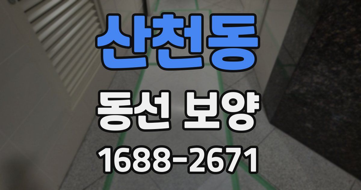 산천동 동선 보양