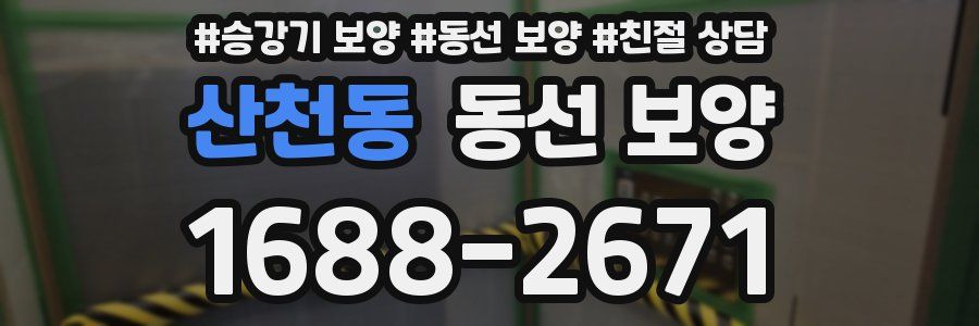 산천동 동선 보양