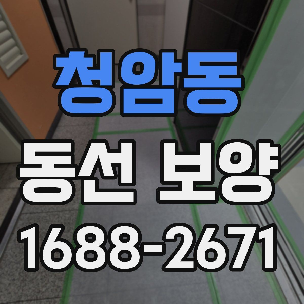 청암동 동선 보양 비용과 품질의 균형 잡기