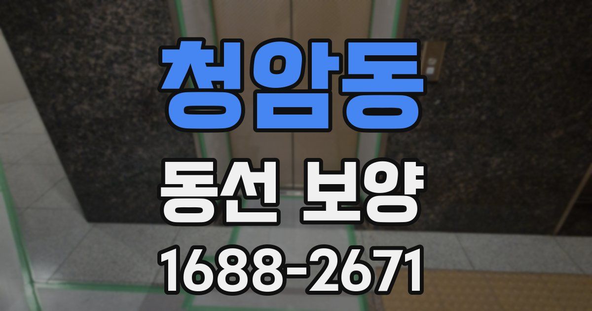 청암동 동선 보양