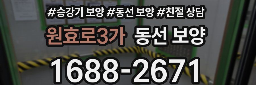 원효로3가 동선 보양