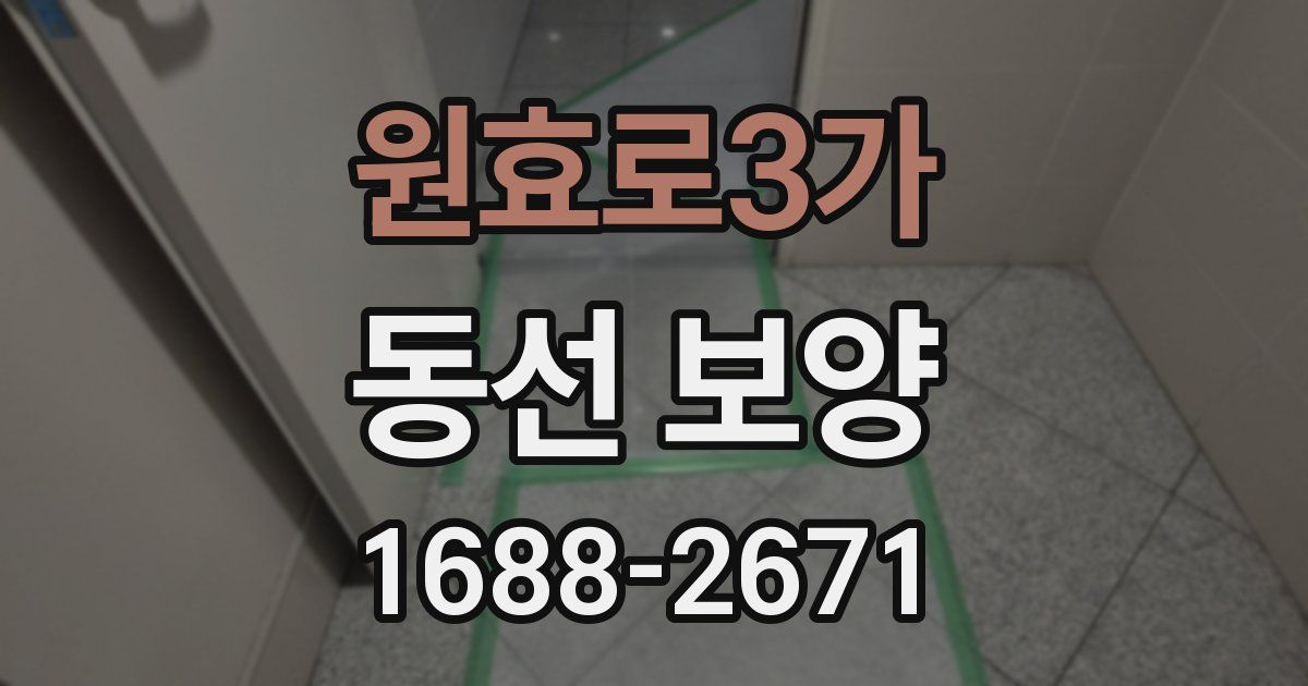 원효로3가 동선 보양