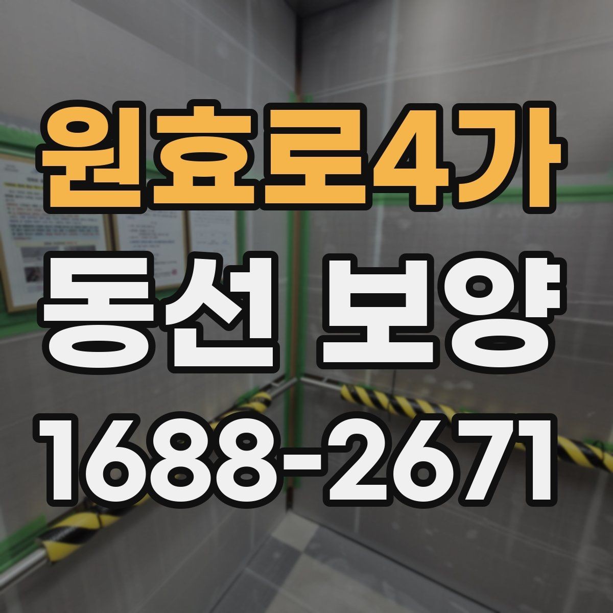 원효로4가 동선 보양 업체를 볼 때 확인할 기준