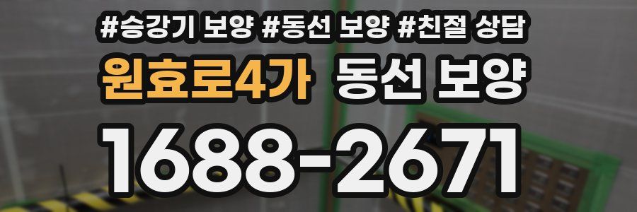 원효로4가 동선 보양