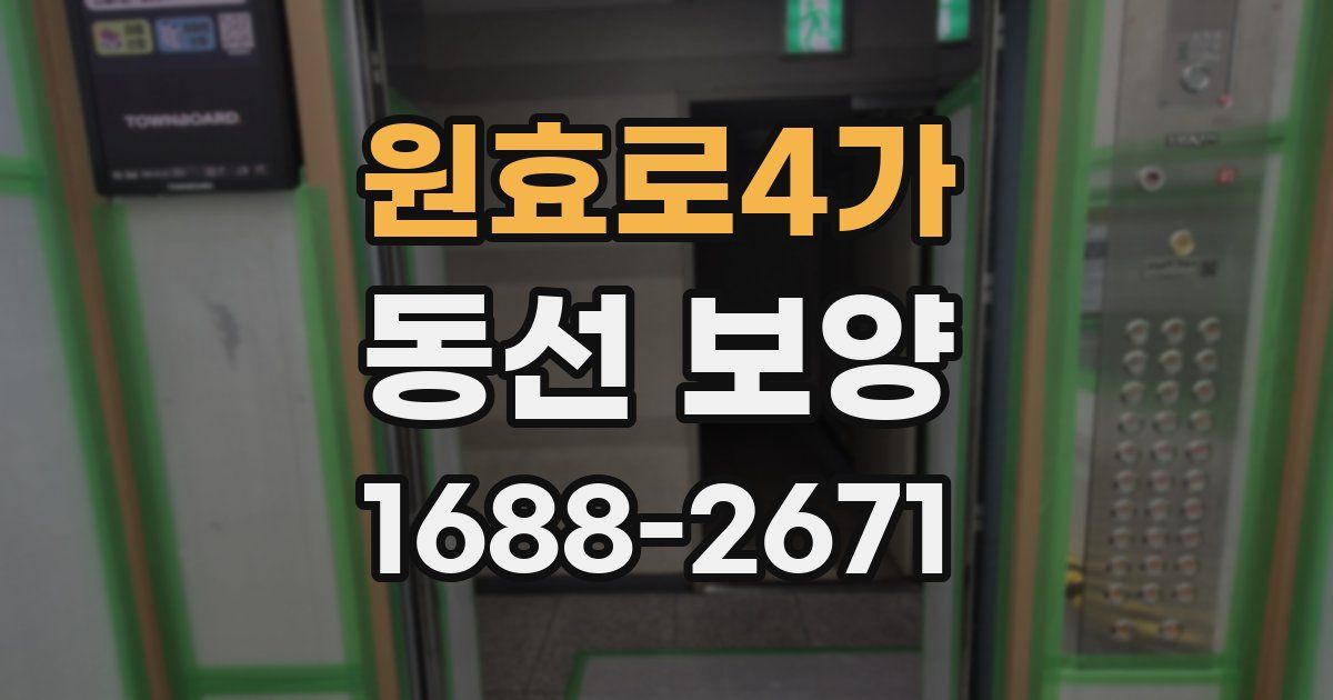 원효로4가 동선 보양