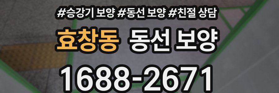 효창동 동선 보양