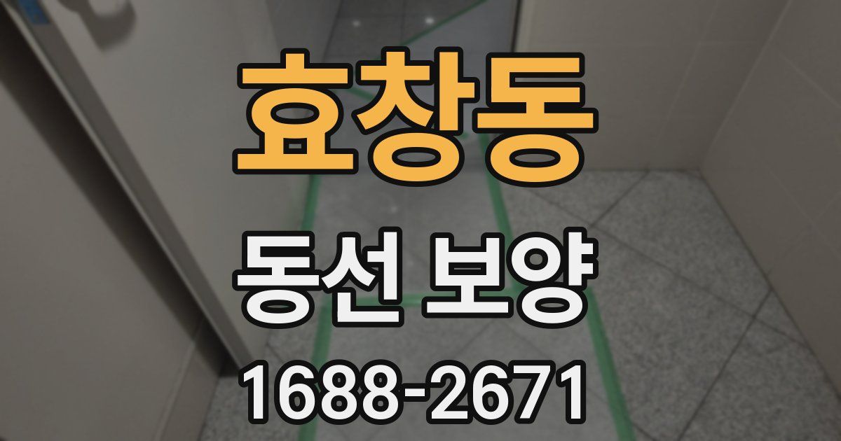 효창동 동선 보양