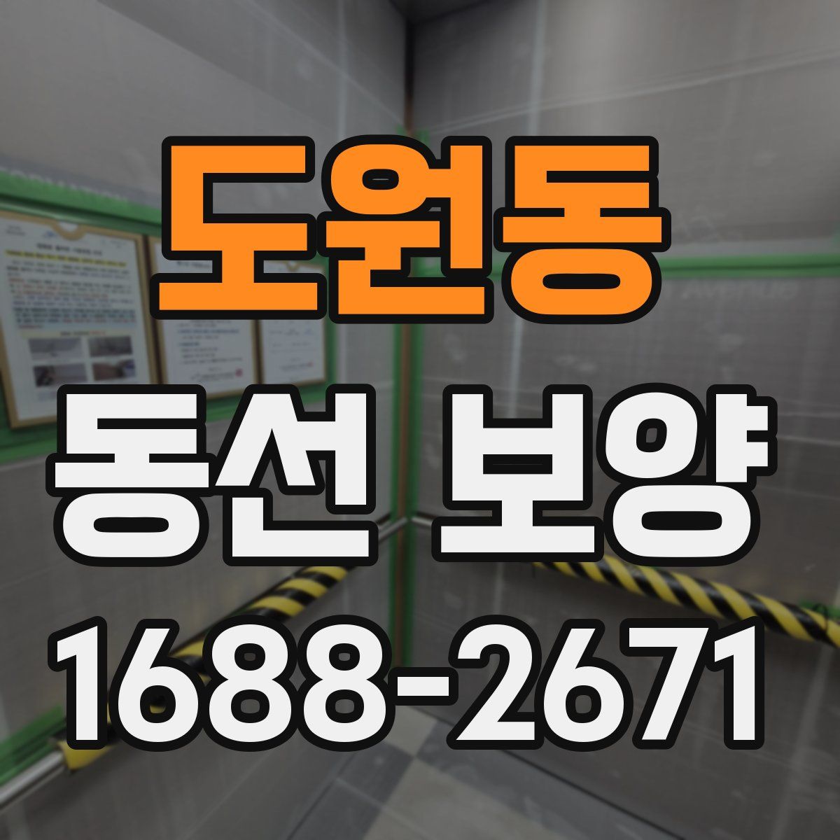 도원동 동선 보양