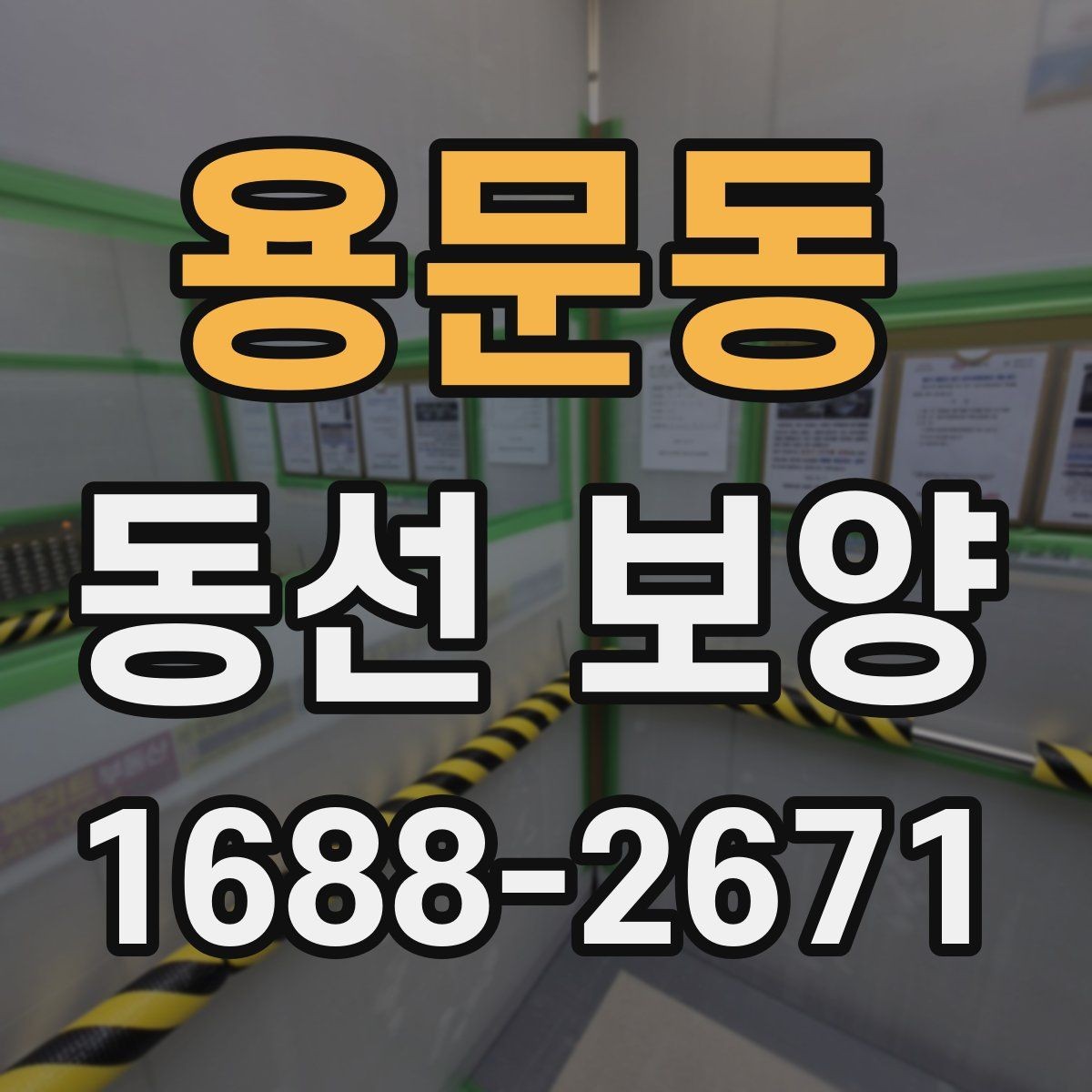 용문동 동선 보양 진행 전 협의해야 할 사항