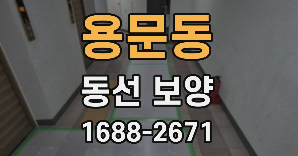 용문동 동선 보양