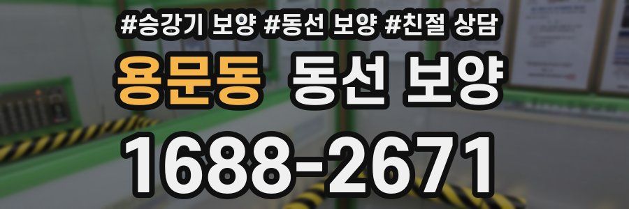 용문동 동선 보양