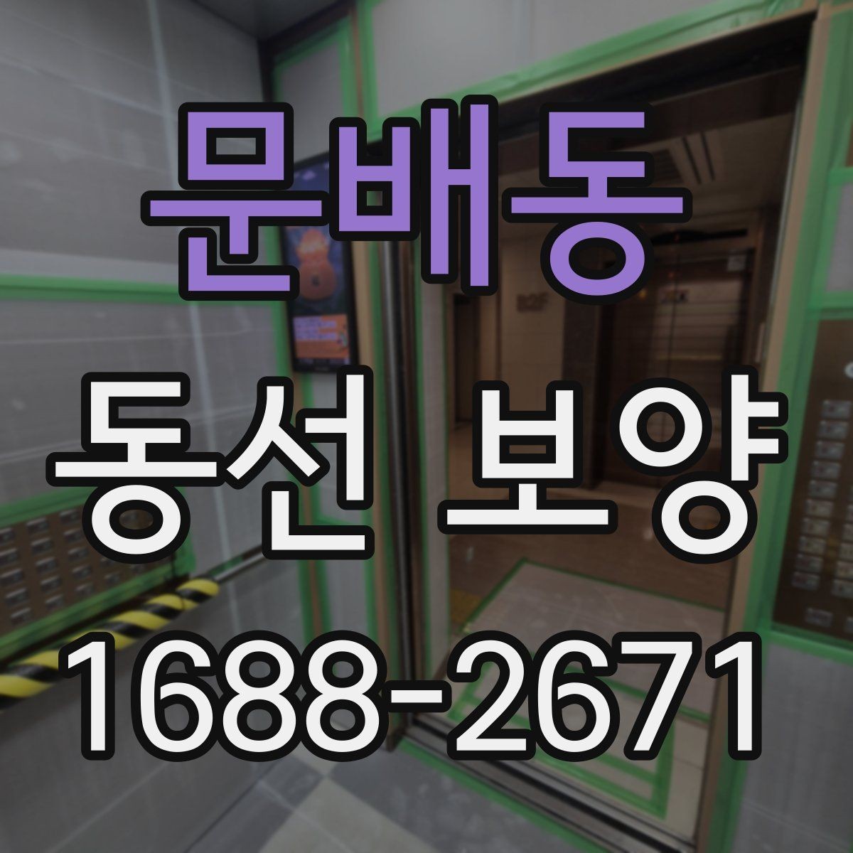 문배동 동선 보양 업체를 고를 때 살펴볼 기준