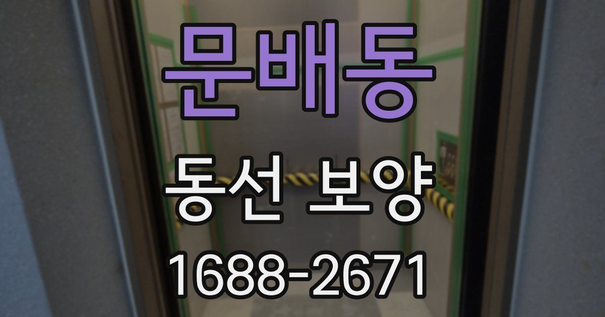 문배동 동선 보양