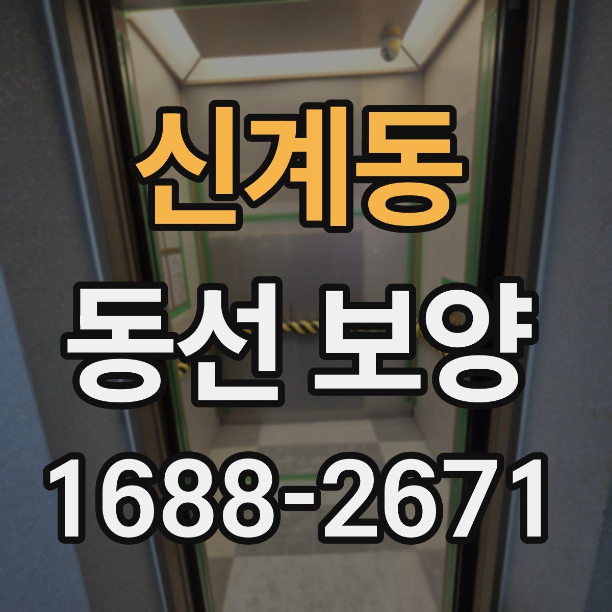 신계동 동선 보양
