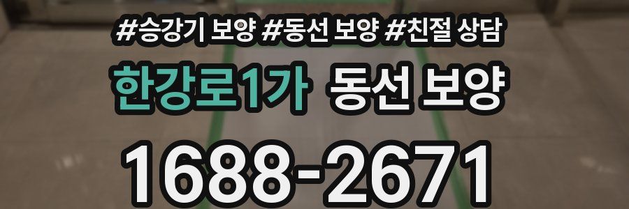 한강로1가 동선 보양
