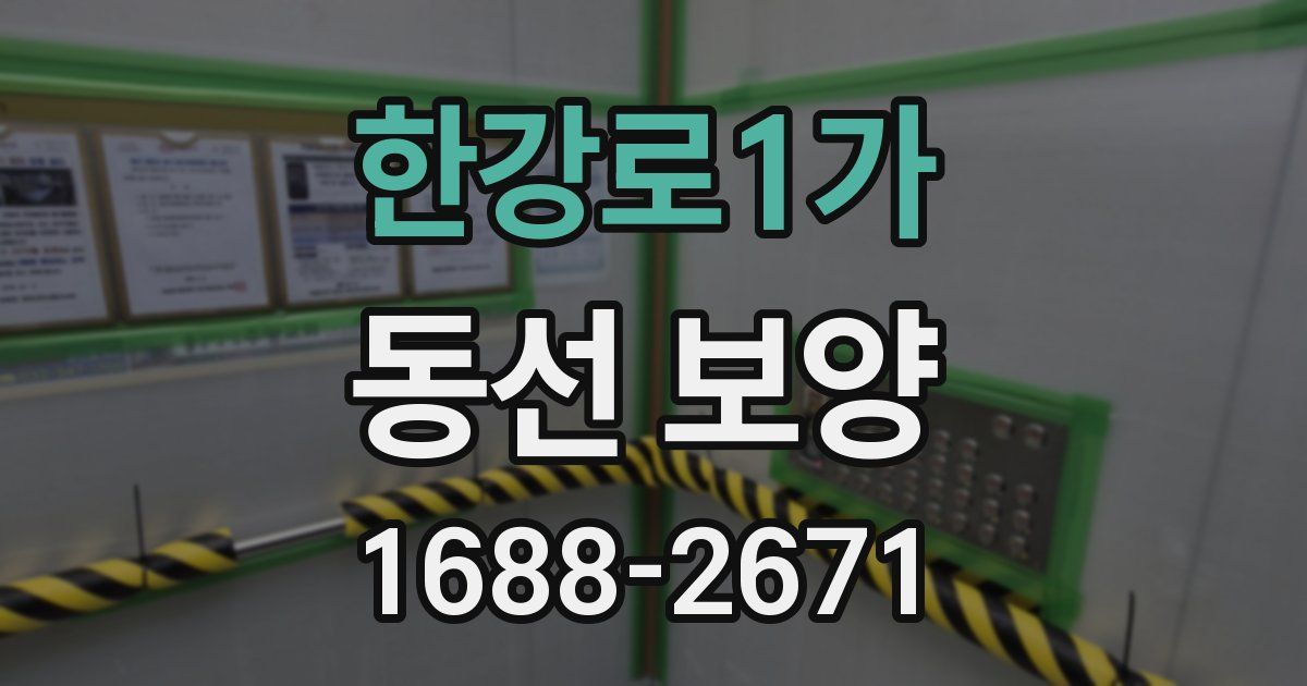한강로1가 동선 보양