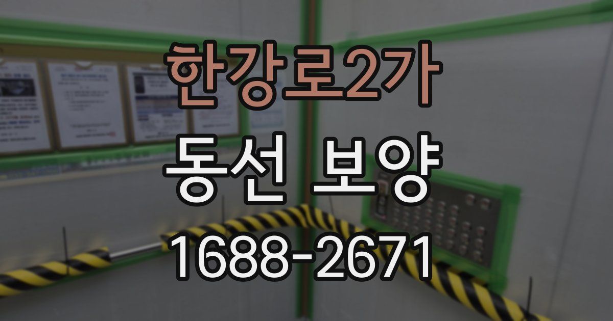 한강로2가 동선 보양