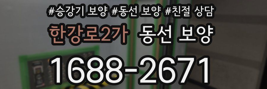 한강로2가 동선 보양