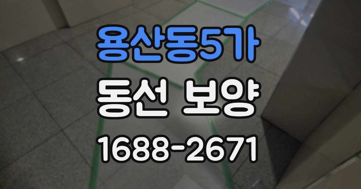 용산동5가 동선 보양