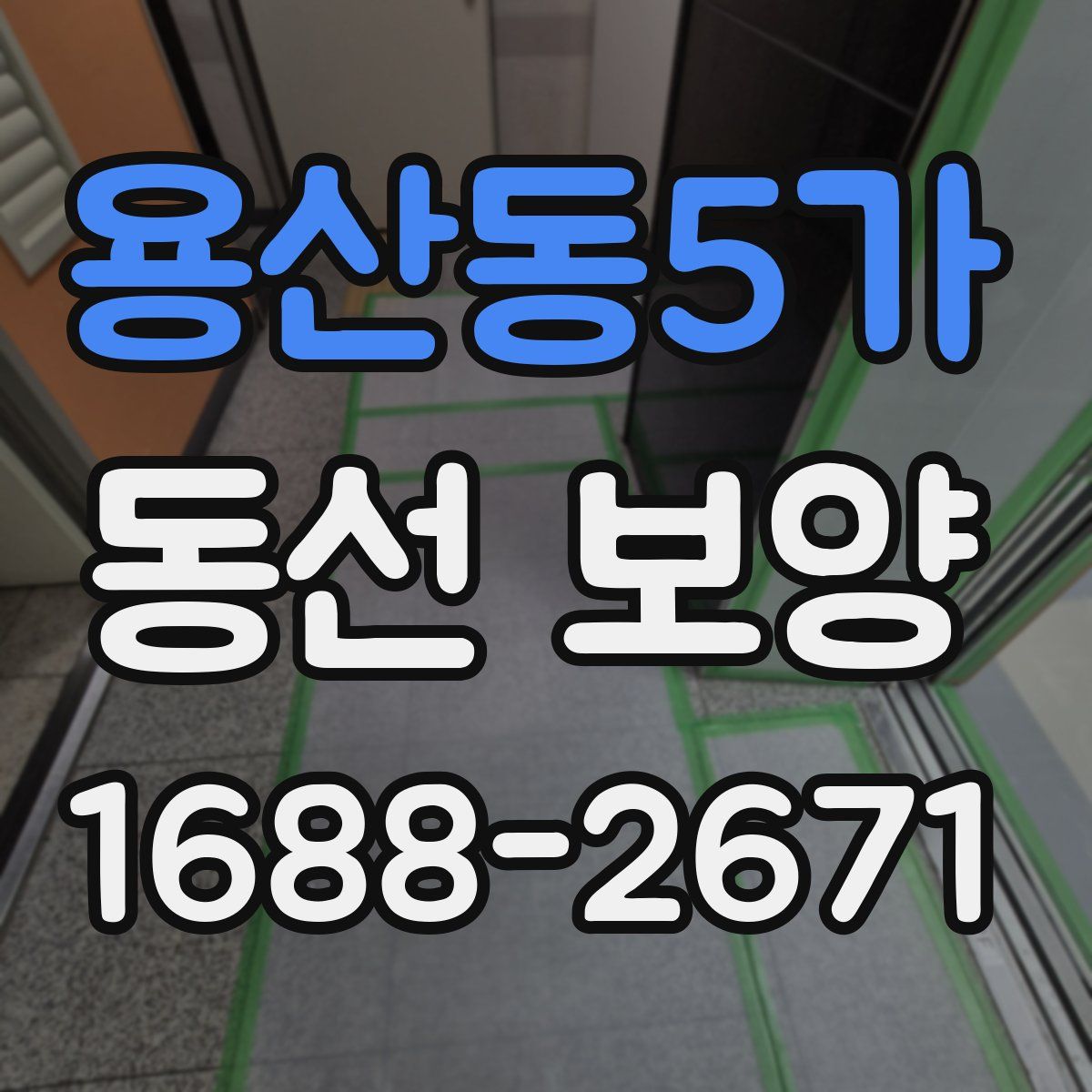 용산동5가 동선 보양