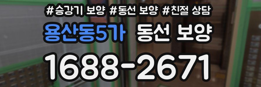 용산동5가 동선 보양