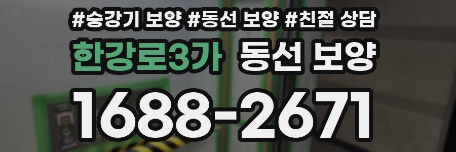 한강로3가 동선 보양