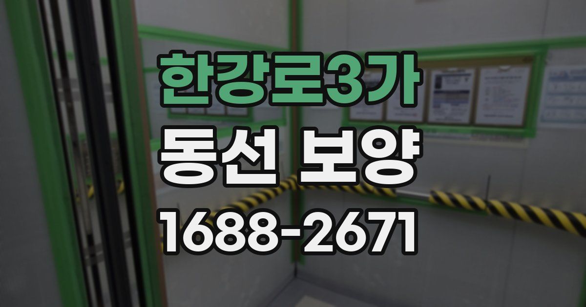 한강로3가 동선 보양