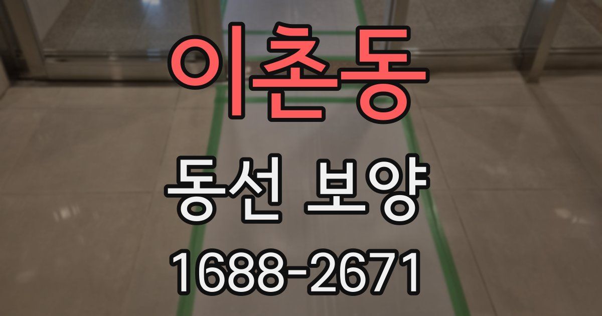 이촌동 동선 보양