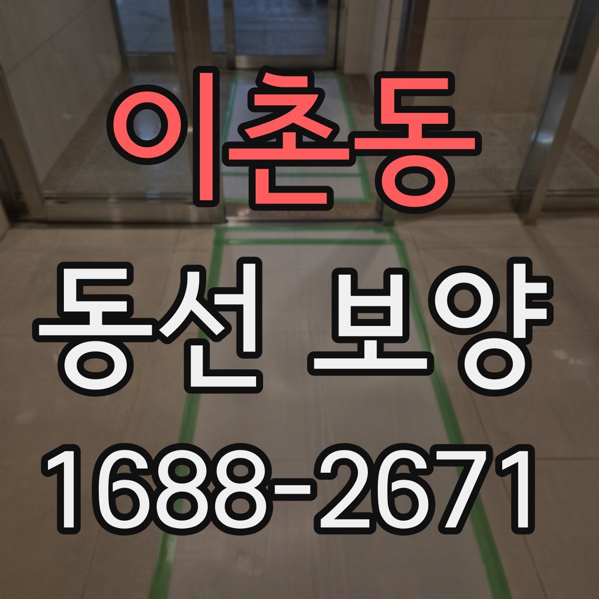 이촌동 동선 보양