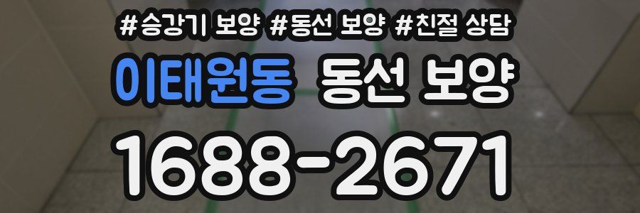 이태원동 동선 보양