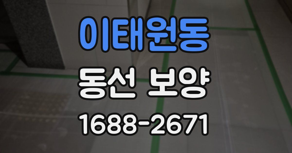 이태원동 동선 보양