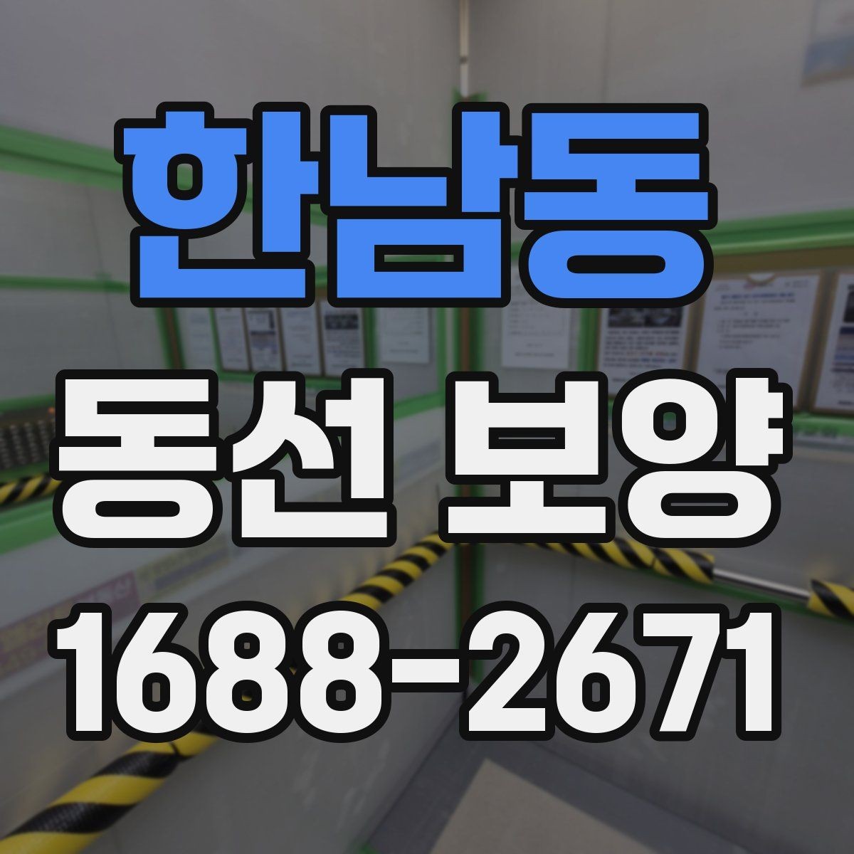 한남동 동선 보양 업체 선정 시 확인할 실무 포인트