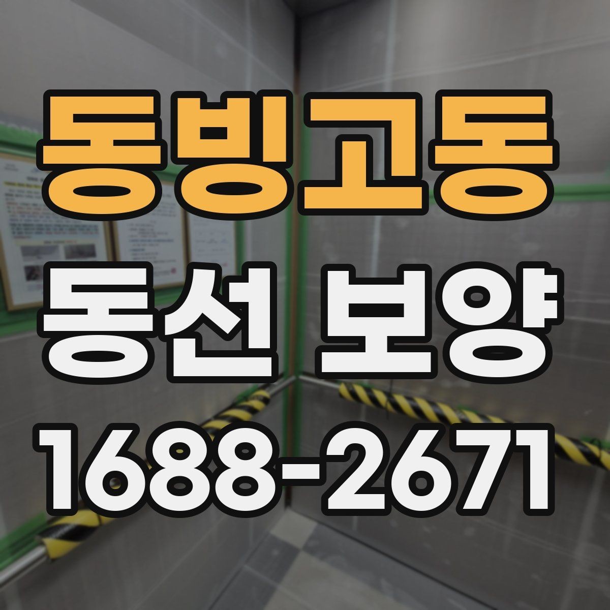 동빙고동 동선 보양 작업 전 꼭 확인할 점