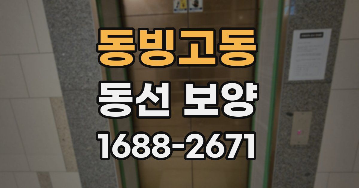 동빙고동 동선 보양