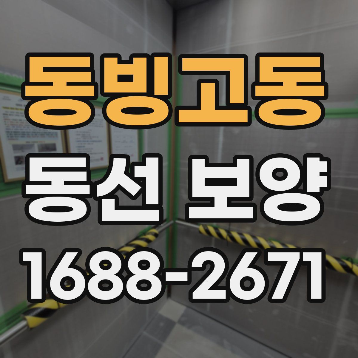 동빙고동 동선 보양