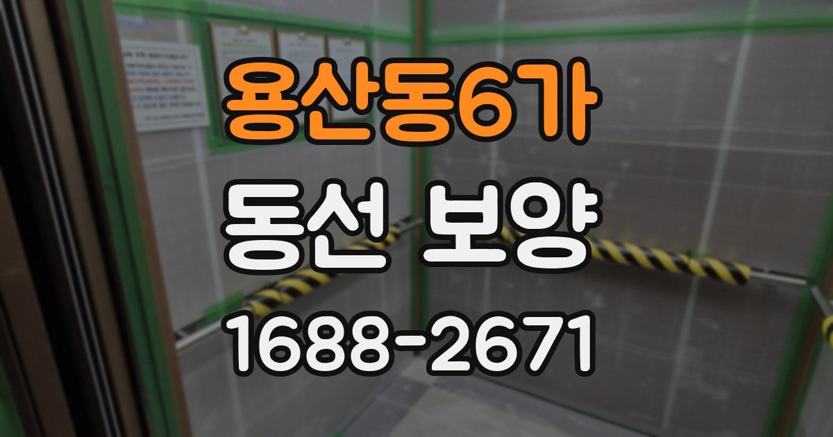 용산동6가 동선 보양