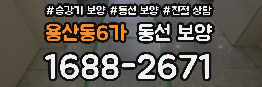 용산동6가 동선 보양
