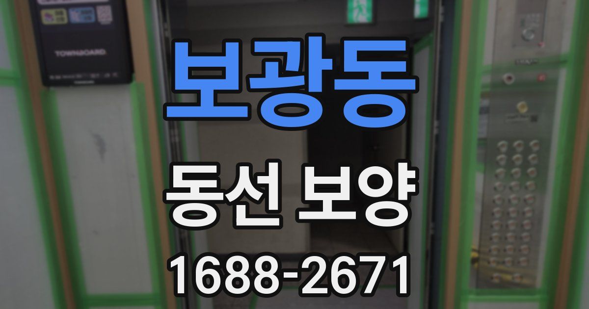 보광동 동선 보양