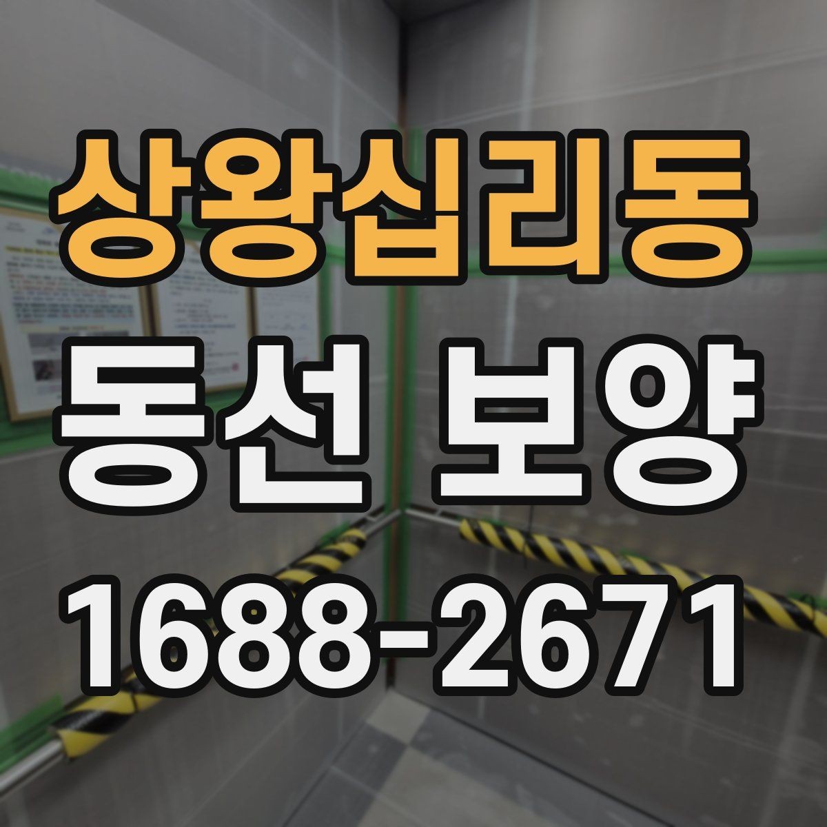 상왕십리동 동선 보양 계획을 세울 때 고려할 요소