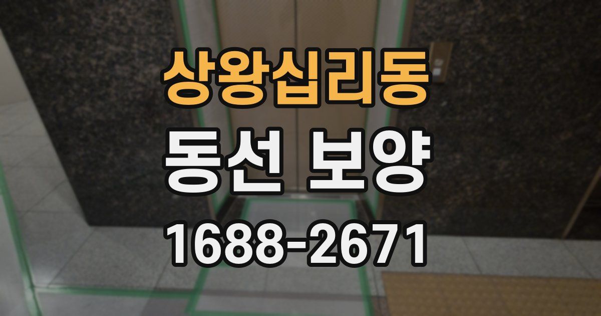 상왕십리동 동선 보양