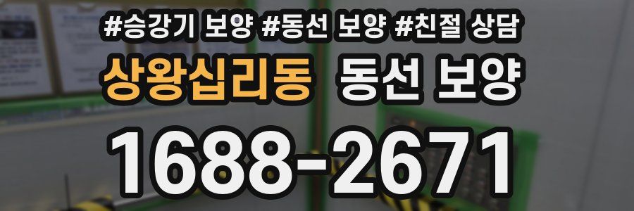 상왕십리동 동선 보양