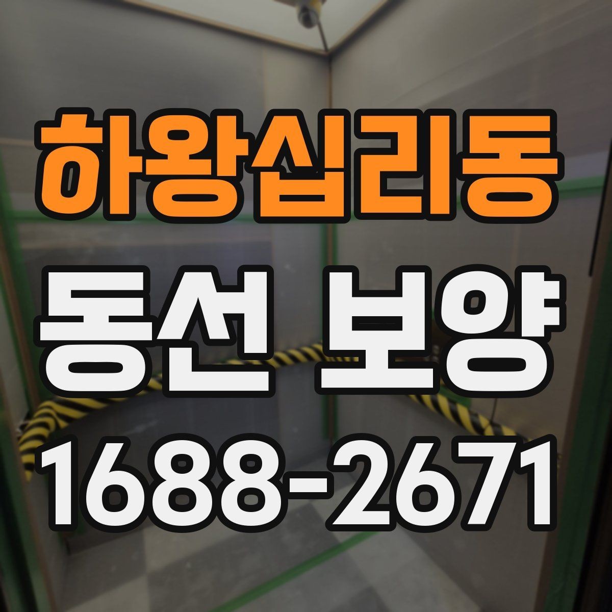 하왕십리동 동선 보양 후 안전 관리까지 챙겨야 하는 이유