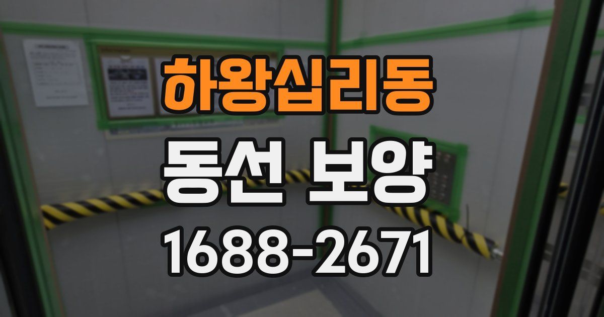 하왕십리동 동선 보양