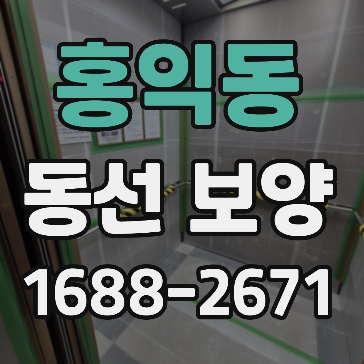 홍익동 동선 보양 업체 상담 전에 알아두면 좋은 점
