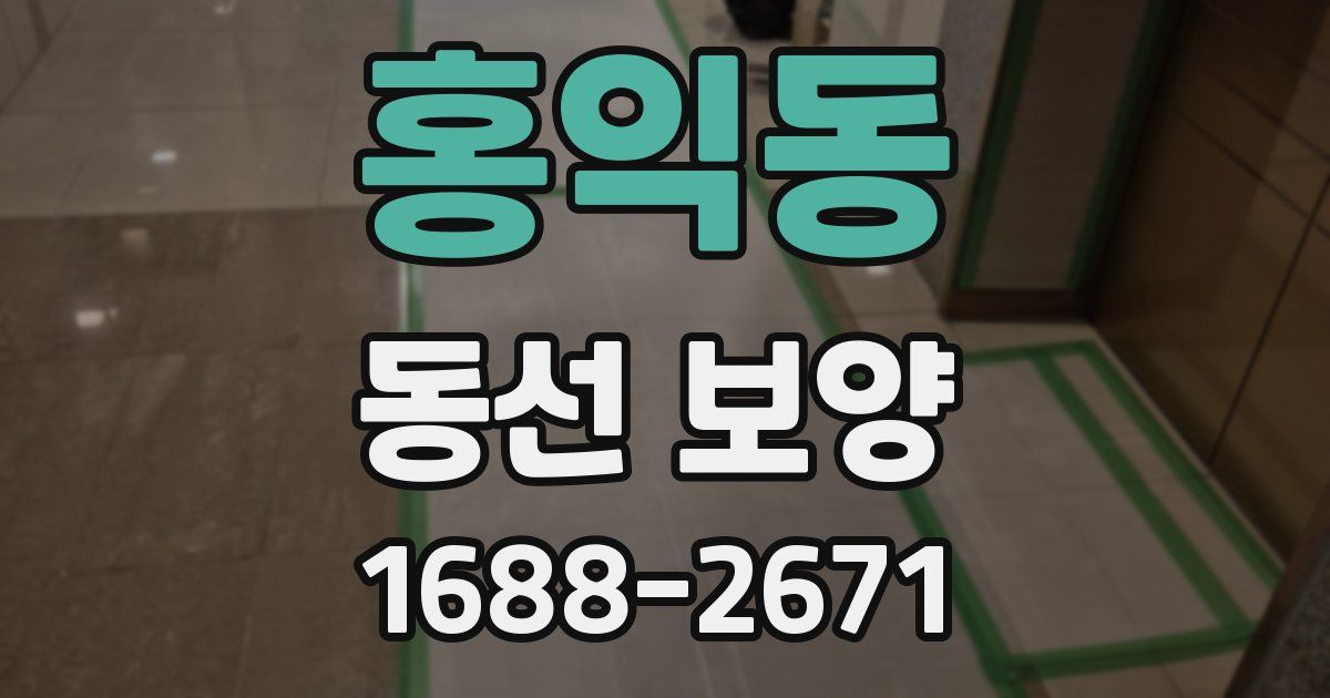 홍익동 동선 보양