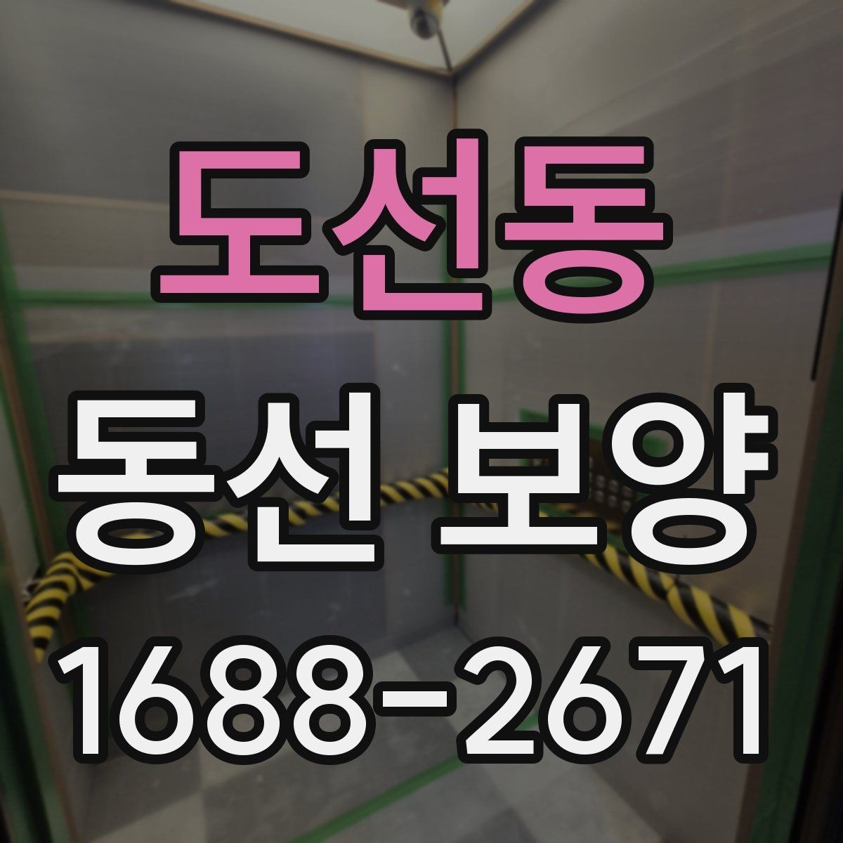 도선동 동선 보양 시 주의해야 할 안전과 동선 관리